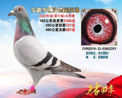 安徽華匯決賽581名