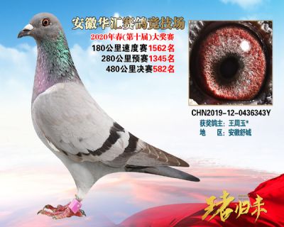 安徽華匯決賽582名