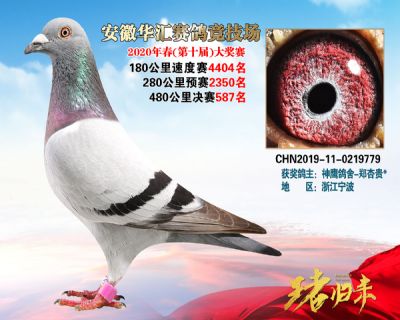 安徽華匯決賽587名