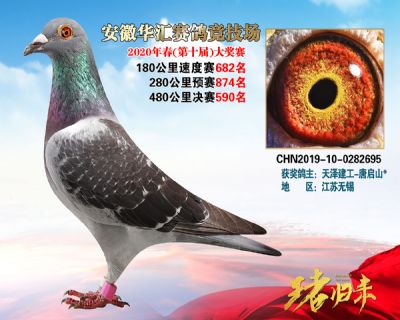 安徽華匯決賽590名