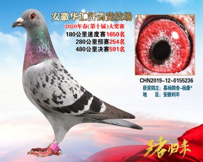 安徽華匯決賽591名
