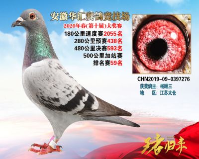 安徽華匯決賽593名