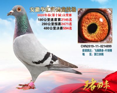 安徽華匯決賽594名
