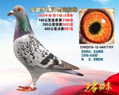 安徽華匯決賽597名