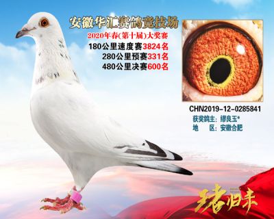 安徽華匯決賽600名