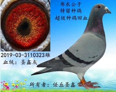 未命名