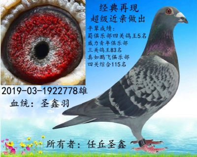 未命名