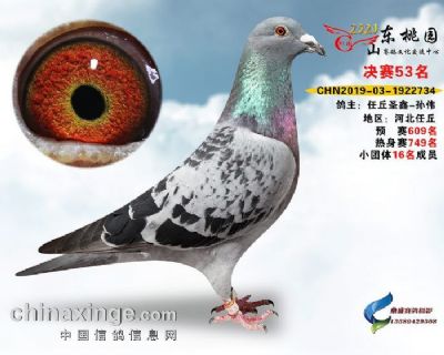 20200505201518359_s_副本