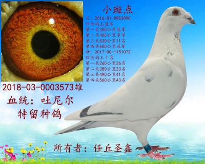 2018-03-0003573_副本