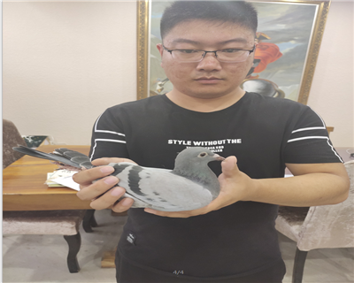 阿拉德決賽冠軍X慕利門“軍校生回血”