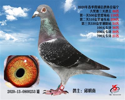 霞浦鴿協三關鴿王36名