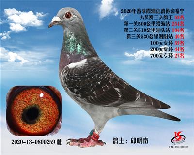 霞浦鴿協三關鴿王59名