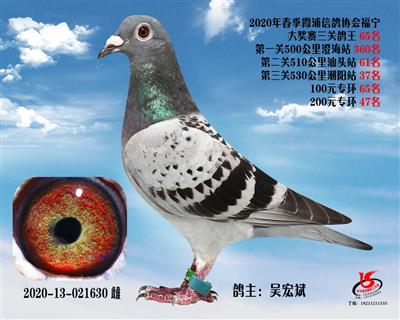 霞浦鴿協三關鴿王65名