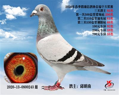 霞浦鴿協三關鴿王92名