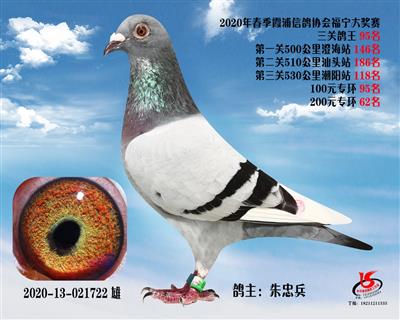 霞浦鴿協三關鴿王95名