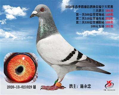 霞浦鴿協三關鴿王101名