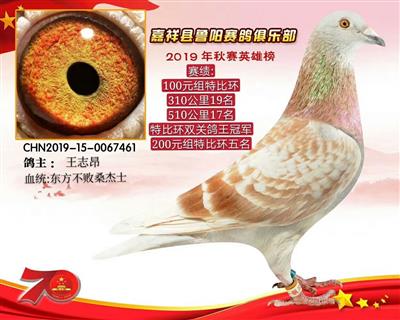 19年特比環雙關冠軍