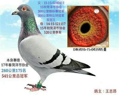 540公里冠軍