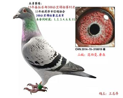 獲3名4名等