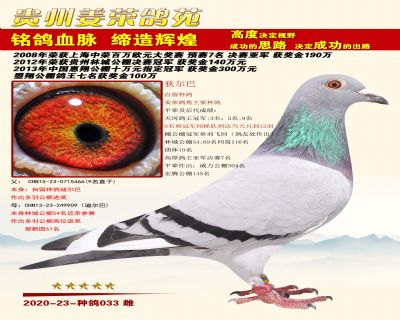狄尔巴