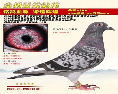 所向无敌