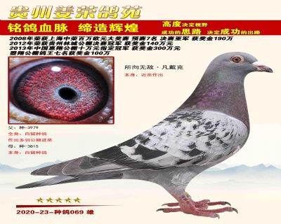 所向无敌2.jpg