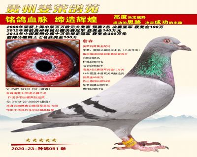 詹森