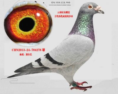 陳遠志老師《迪爾巴》