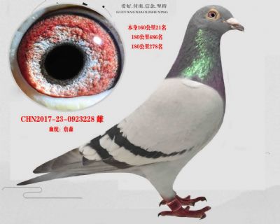 陳遠志老師《詹森》
