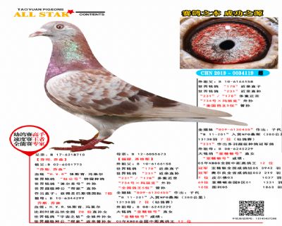 送瓦特原舍配對雄