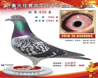 山東齊魯兆佳賽鴿公棚500公里決賽438名