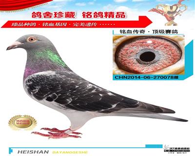 特比環總亞軍