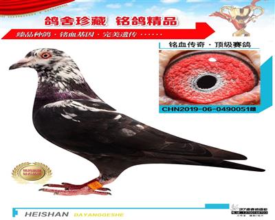 超級皮特蘭