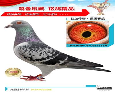 特比環總冠軍
