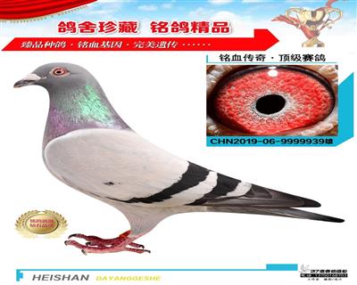 公棚冠軍同父母