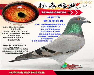 鲁道克拉森