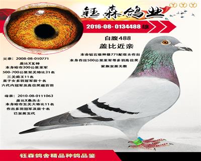 极品盖比