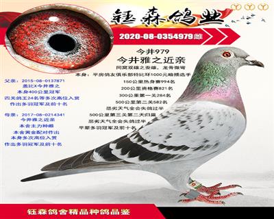 特比环暗插1000元选手