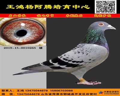 利奥赫尔曼(杨双重近亲)