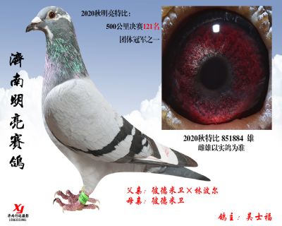 2 明亮 特比 851884 雄
