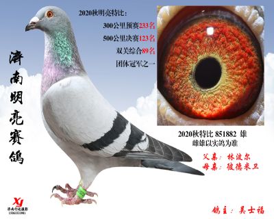 4 明亮 特比 851882 雄