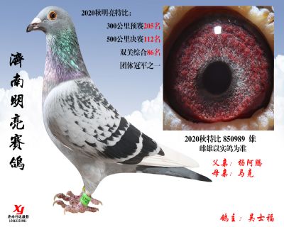 6 明亮 特比 850989 雄
