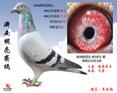 12 明亮 特比 851874 雌