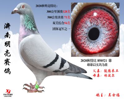 13 明亮 特比 850521 雄