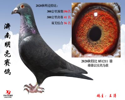 15 明亮 特比 851211 雄