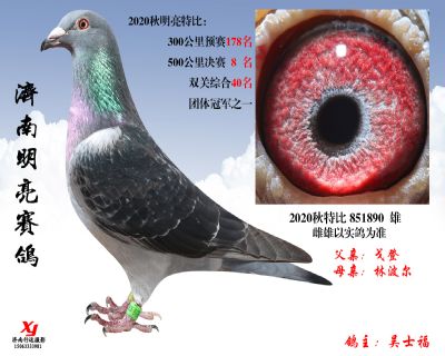 17 明亮 特比 851890 雄