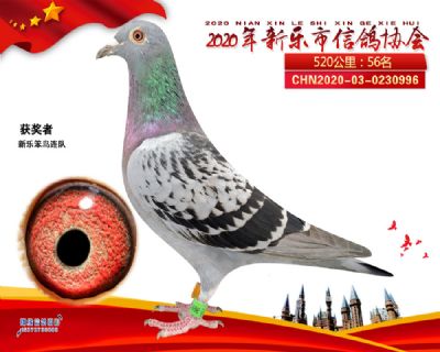 2020新乐协会56