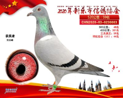 特比44