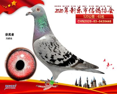 2020新乐协会61