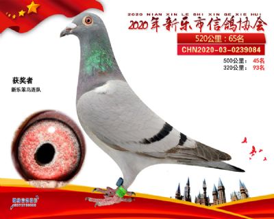 2020新乐协会65